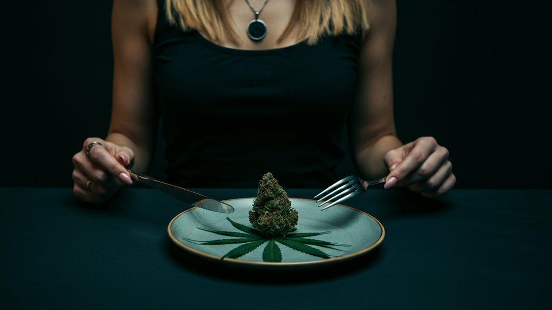 10-OH-HHC zur Kontrolle des Appetits: Erläutert