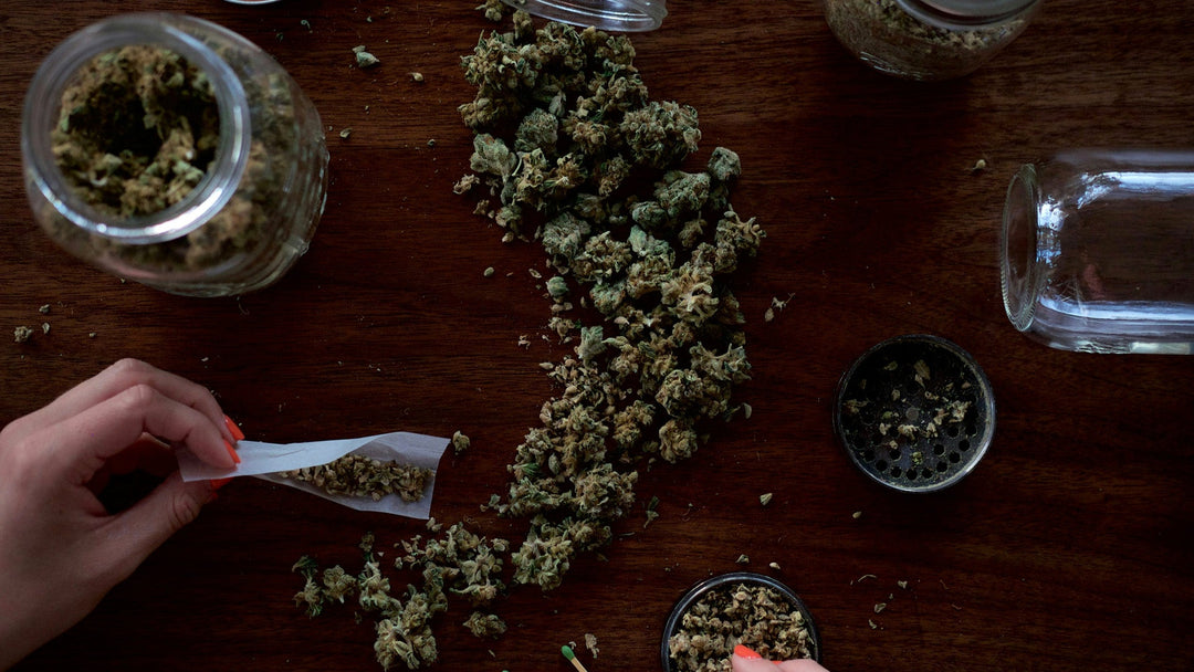 Wie CBG mit THC und CBD interagiert: Erläutert