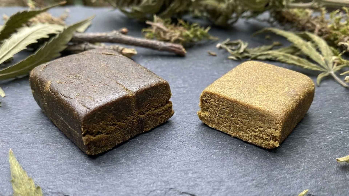 Dry Hash vs. Static Hash: Leitfaden fĂŒr Ihr Harz