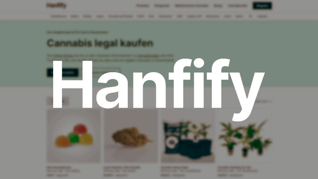 Hanfify: Cannabis-Verzeichnis in Deutschland