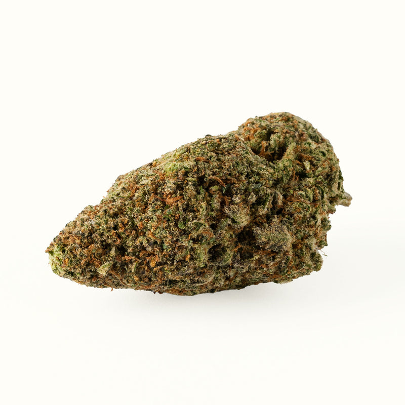 Nine Realms Godfather OG T9HC cannabis flower bud close-up