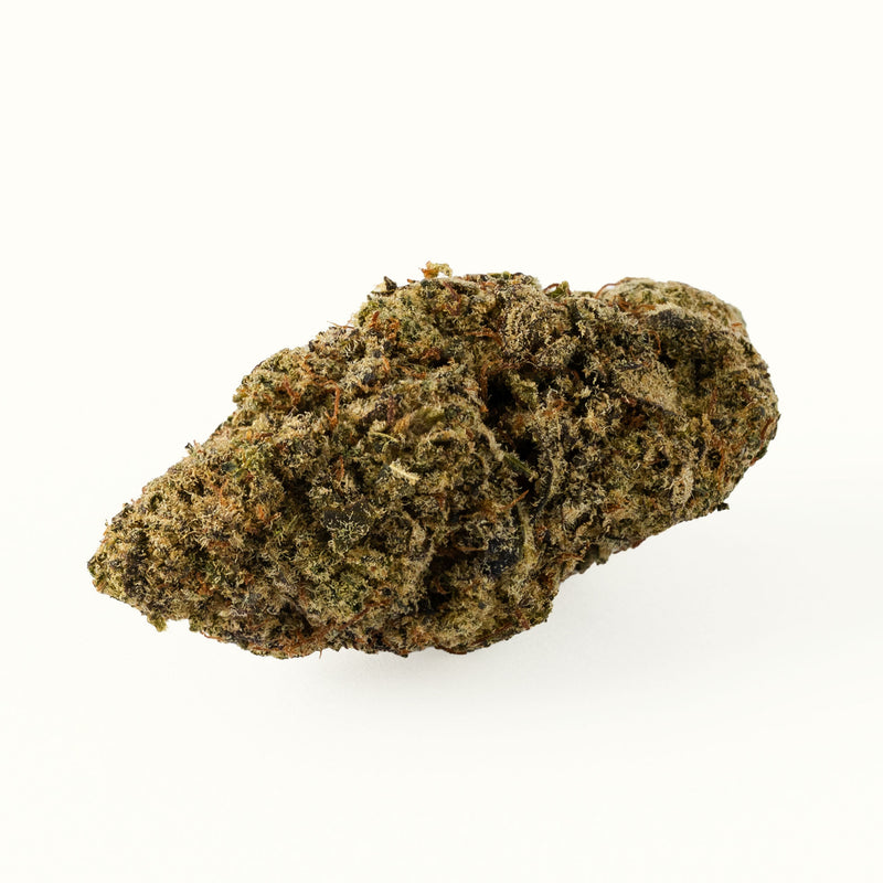 Nine Realms Jet Fuel OG T9HC cannabis flower bud close-up