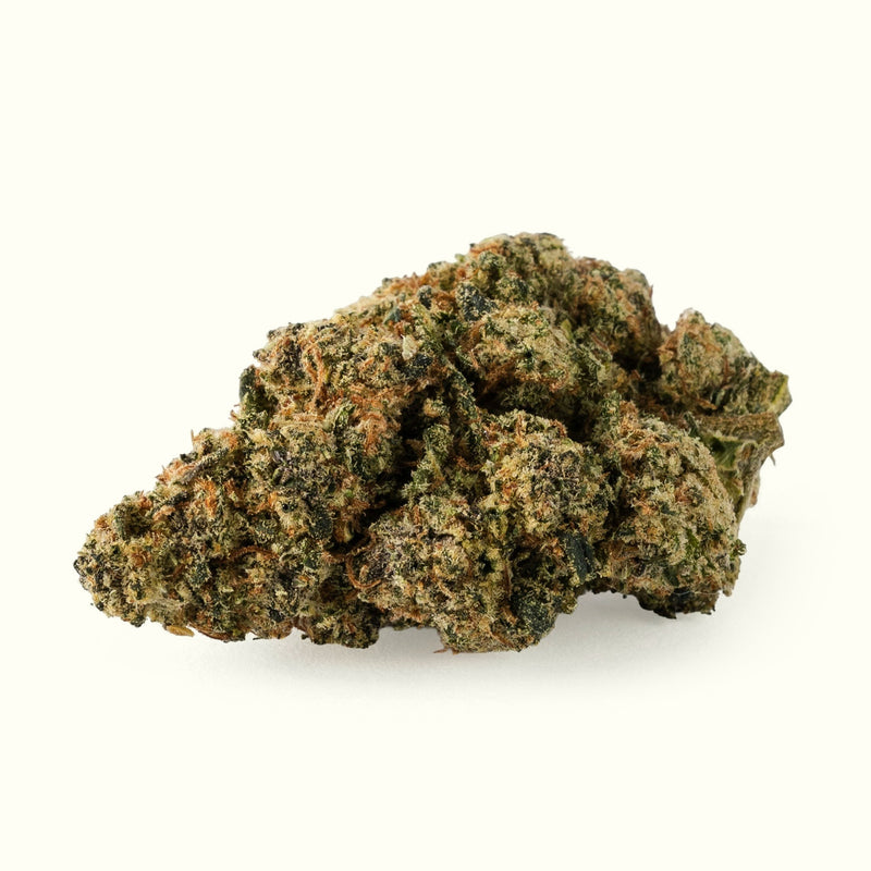 Nine Realms Lemon Cherry Gelato T9HC Blüte in Nahaufnahme