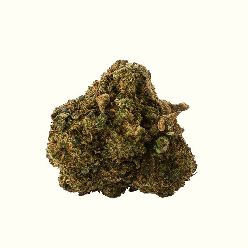 Nine Realms Silver Haze T9HC Blüte in Nahaufnahme