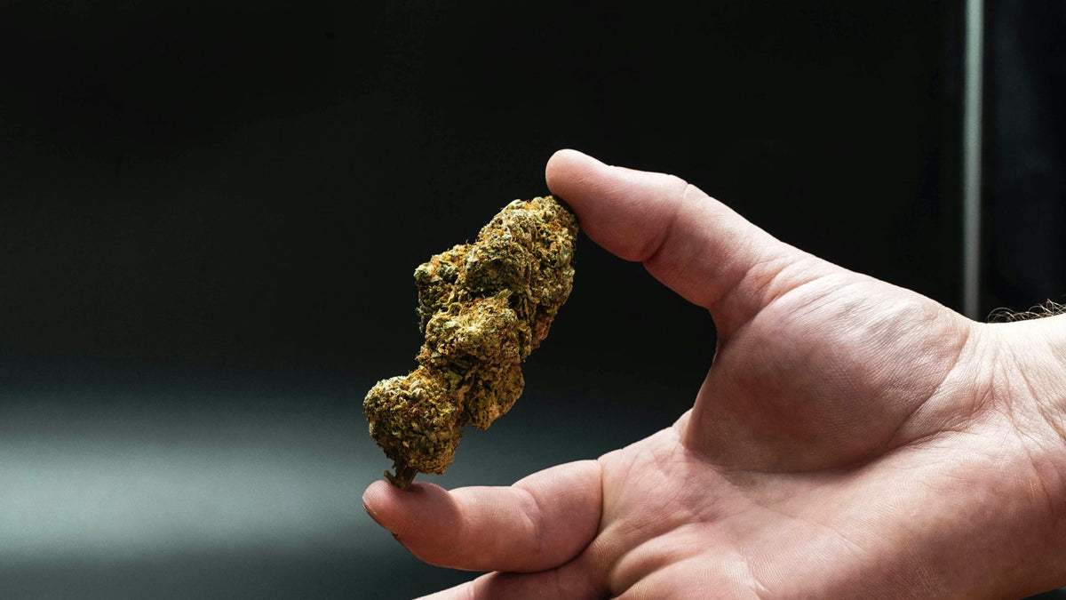 10-OH-HCC Flower Nine Realms