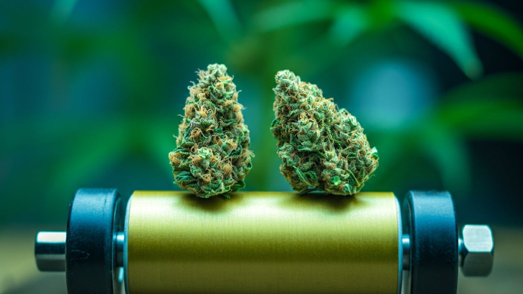 Wie sich 10-OH-HHC von normalem HHC unterscheidet: Erläuterung