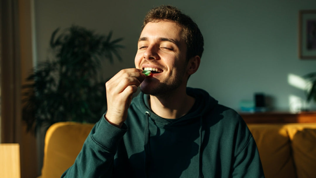 10-OH-HHC-Gummis: Erläutert