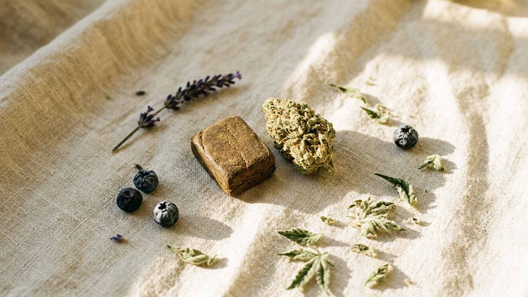 Blue Magic Hash: Herkunft, Wirkung und Wissenswertes