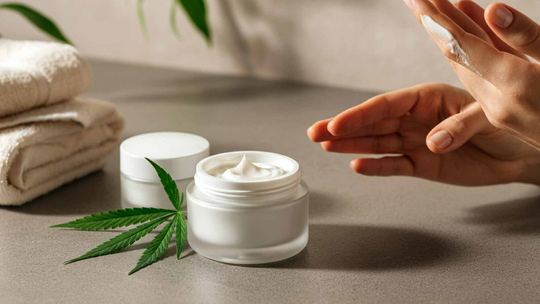 Cannabis Creme für den täglichen Gebrauch: Wirkung, Anwendung und mehr