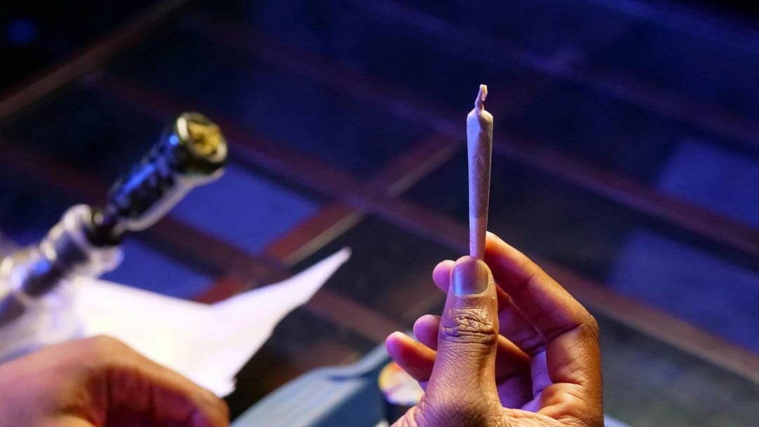 Top Cannabisprodukte für Einsteiger: Leitfaden