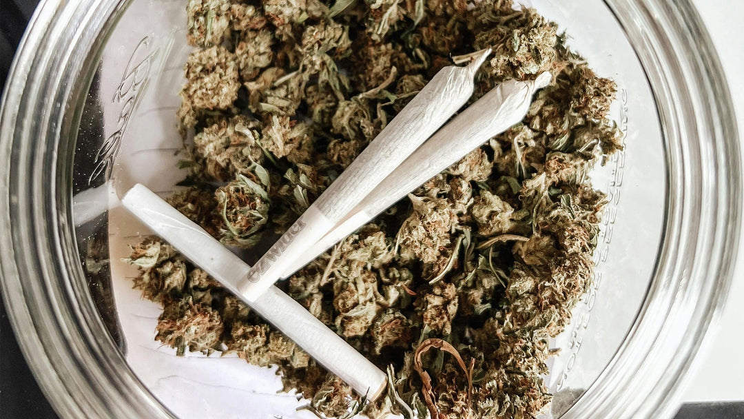 Cannabis-Lagerung: Beste Praktiken – Nine Realms