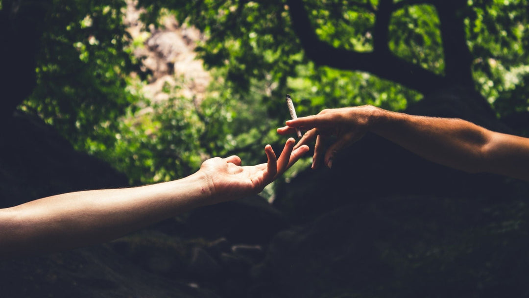 Cannabisprodukte: Leitfaden