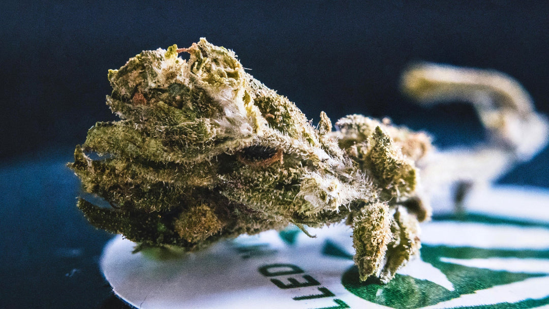 Legale CBD-Produkte in Europa: Erläutert