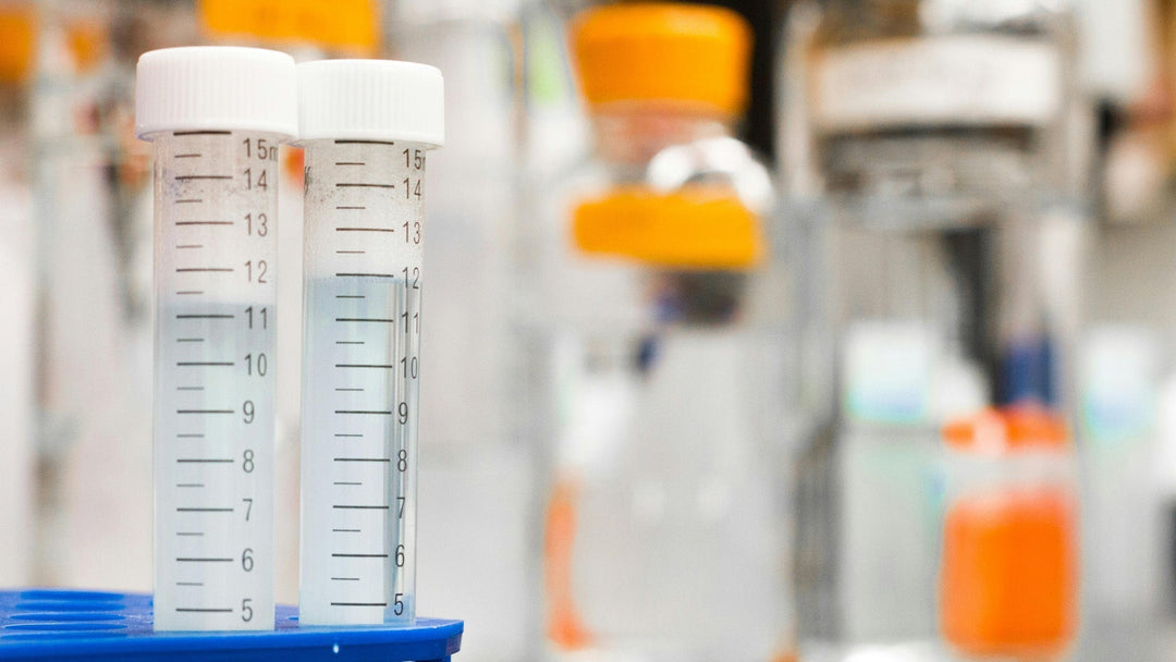 Wie lange bleibt CBN in Ihrem Körper: Erläutert