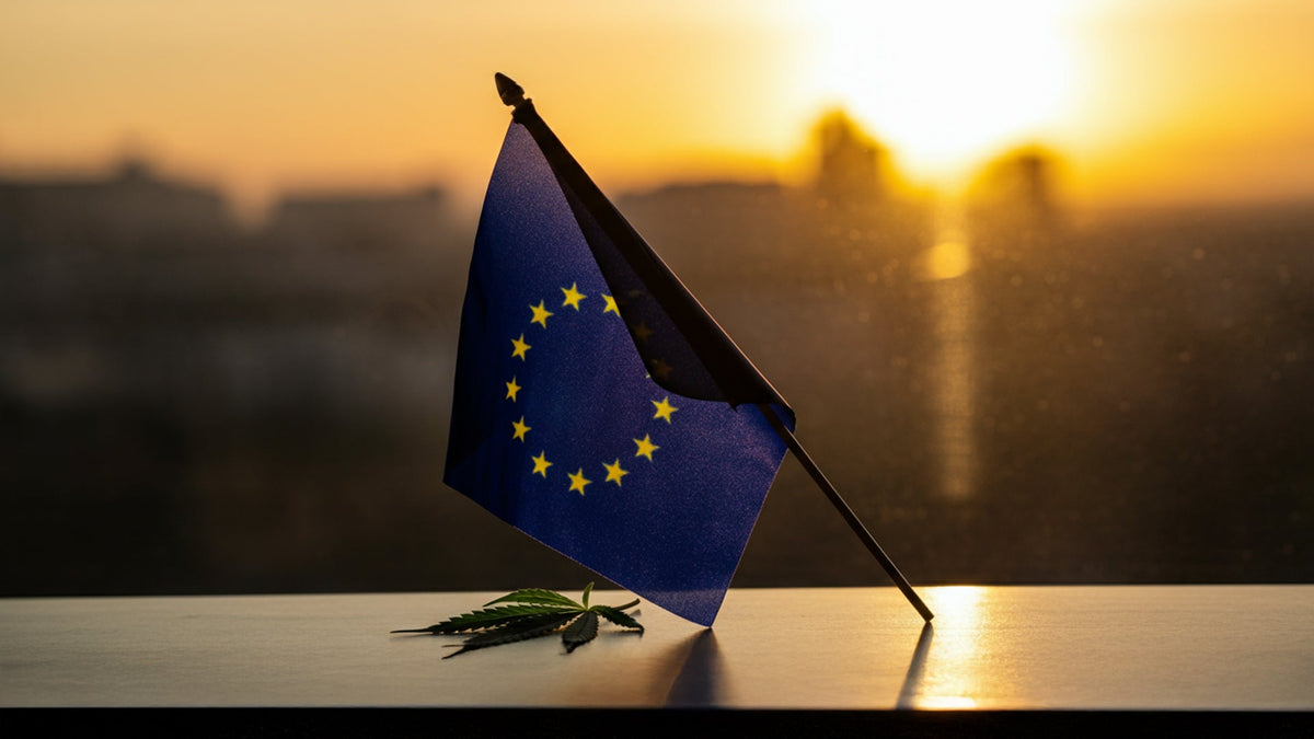 nine realms cannabis leaf next to a european union flag