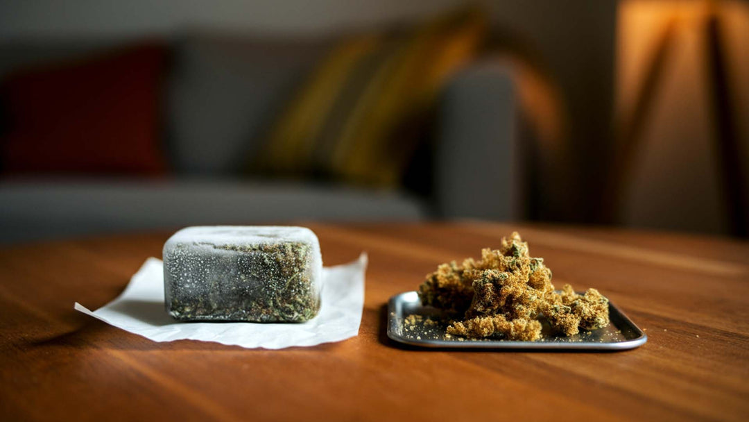 Frozen Hash vs. trockenes Bubble Hash: Was ist das Richtige für Sie?
