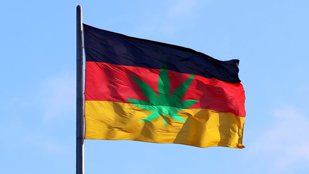 Medizinisches Cannabis-Rezept in Deutschland: Leitfaden