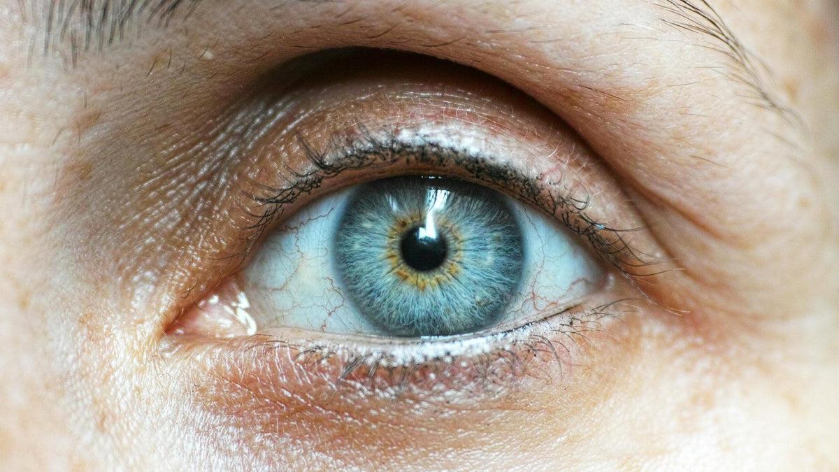 Eye of a Nine Realms Customer