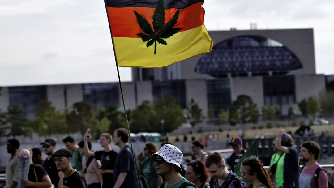 Cannabis Legalisierung in Deutschland
