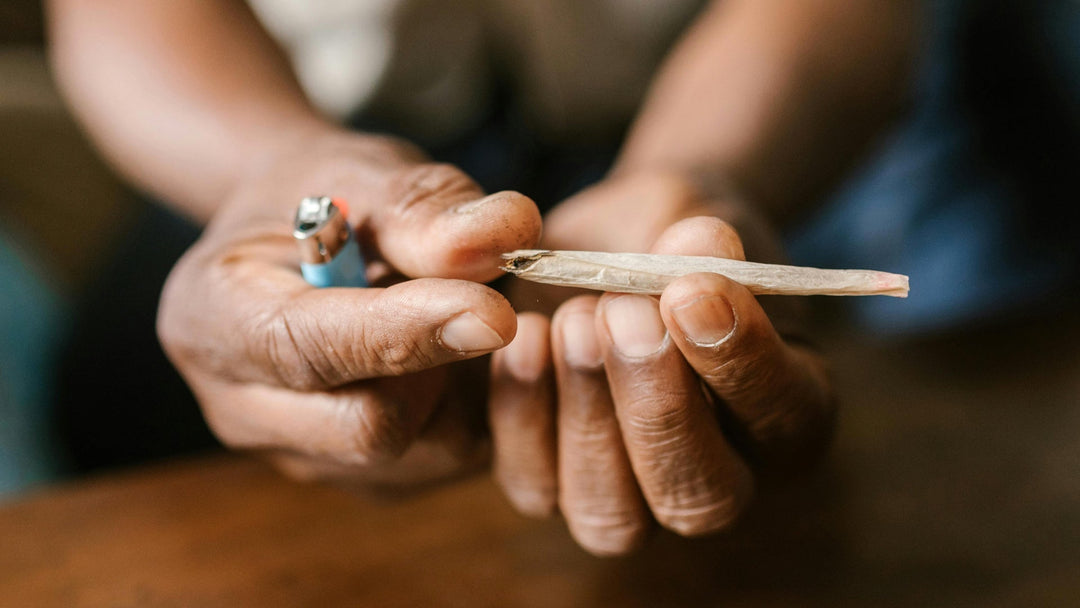 Cannabis bei Multipler Sklerose: Erläutert