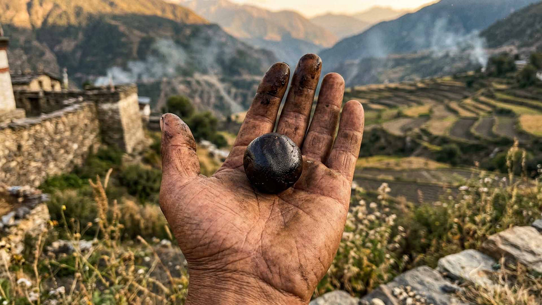 Charas-Hasch-Erlebnis: Eine uralte Cannabis-Tradition, die die meisten nicht kennen