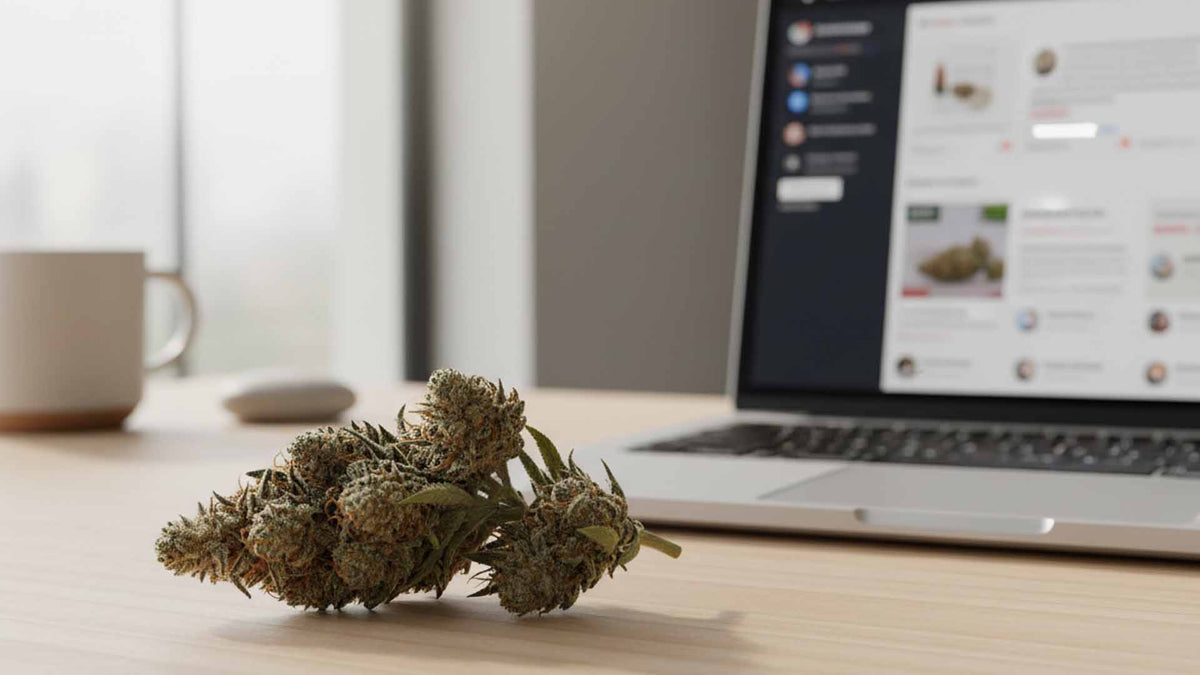 Nine Realms T9HC cannabis flower bud on a desk next to a macbook