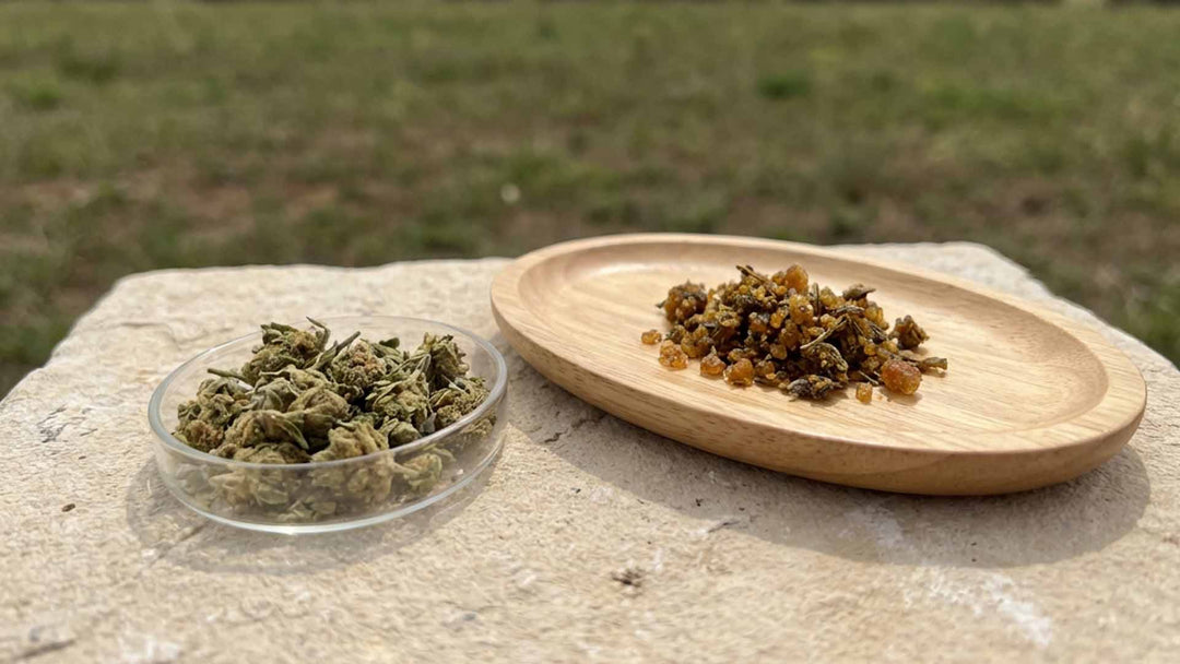 T9HC vs. THC: Hauptunterschiede