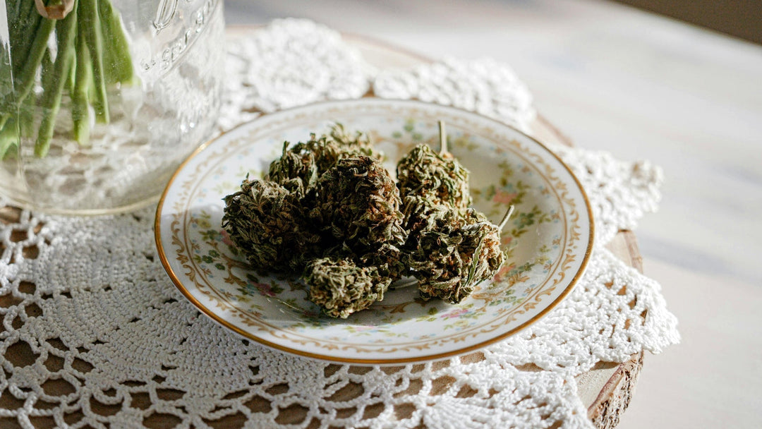 Terpene Cannabis: Aroma & Wirkung erforscht