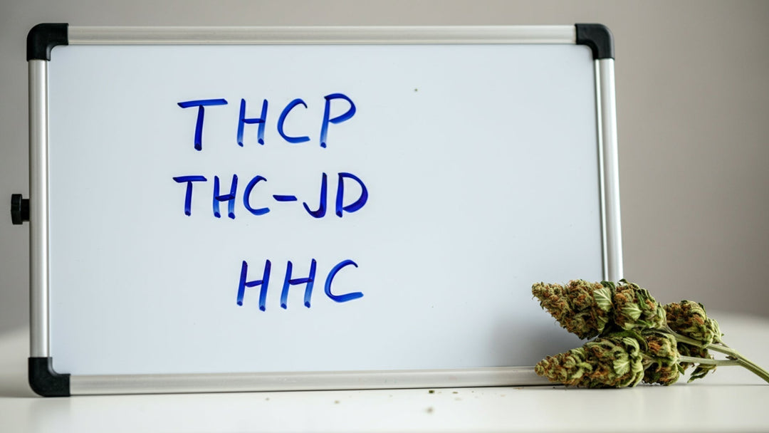 HHC vs. THC-JD vs. THCP: Überblick über die neuen Cannabinoide