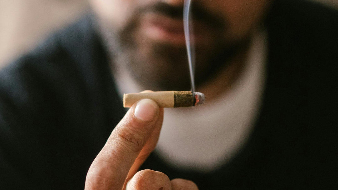 Ist THCV legal? Erläutert