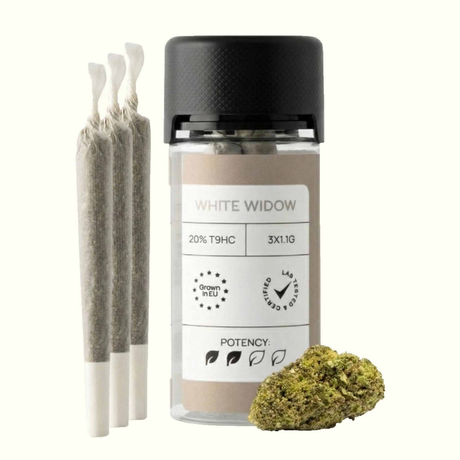 Nine Realms LIGHT Pre Rolls White Widow 3pcs