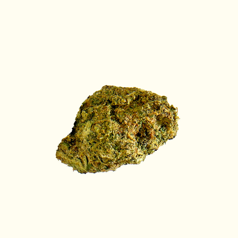 Girl Scout Cookies (GSC) Cannabis-Bud, T9HC Blüte von Nine Realms