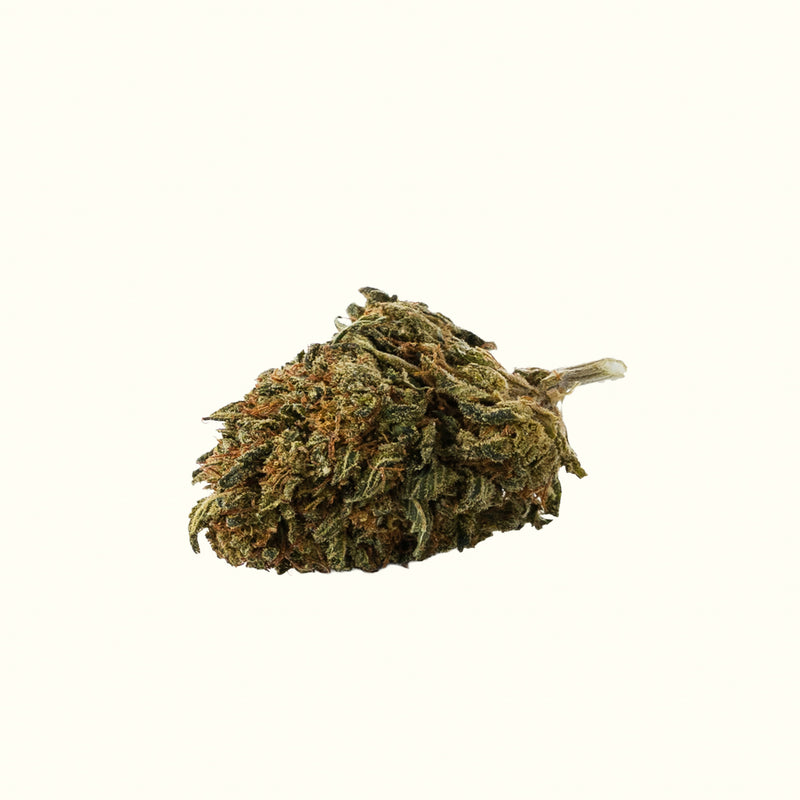 Nine Realms Lemon Cookies cannabis T9HC flower bud