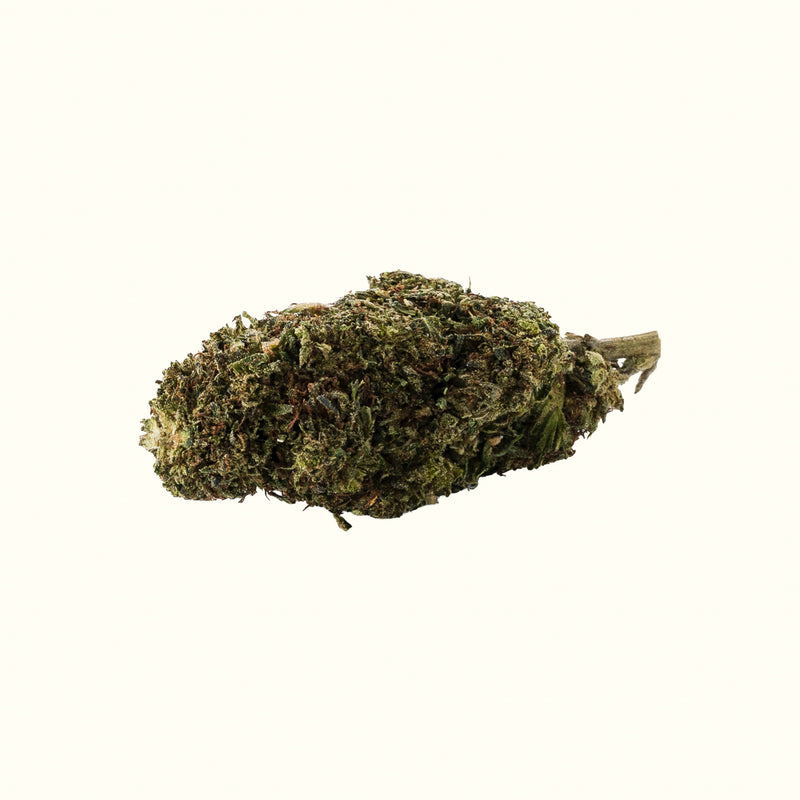Nine Realms OG Kush T9HC cannabis flower bud close-up