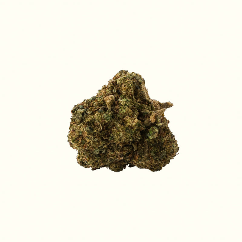 Nine Realms Silver Haze T9HC Flower bud