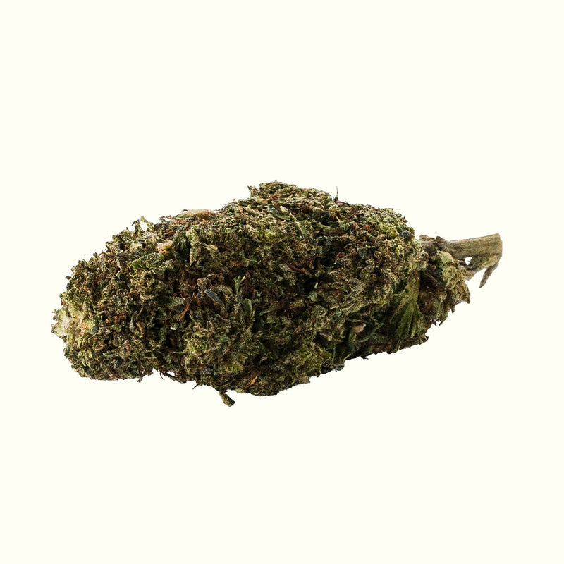 Nine Realms OG Kush T9HC Blüte in Nahaufnahme