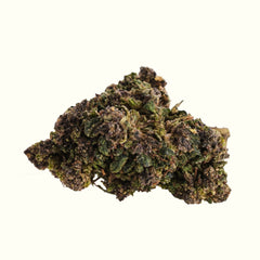 Nine Realms Purple Haze T9HC Blüte in Nahaufnahme